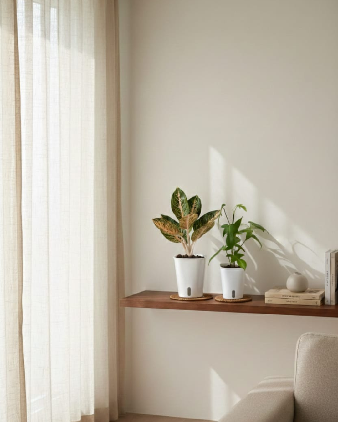 Two potted self-watering plants with valve and coaster on a wooden shelf against a white wall with natural light.