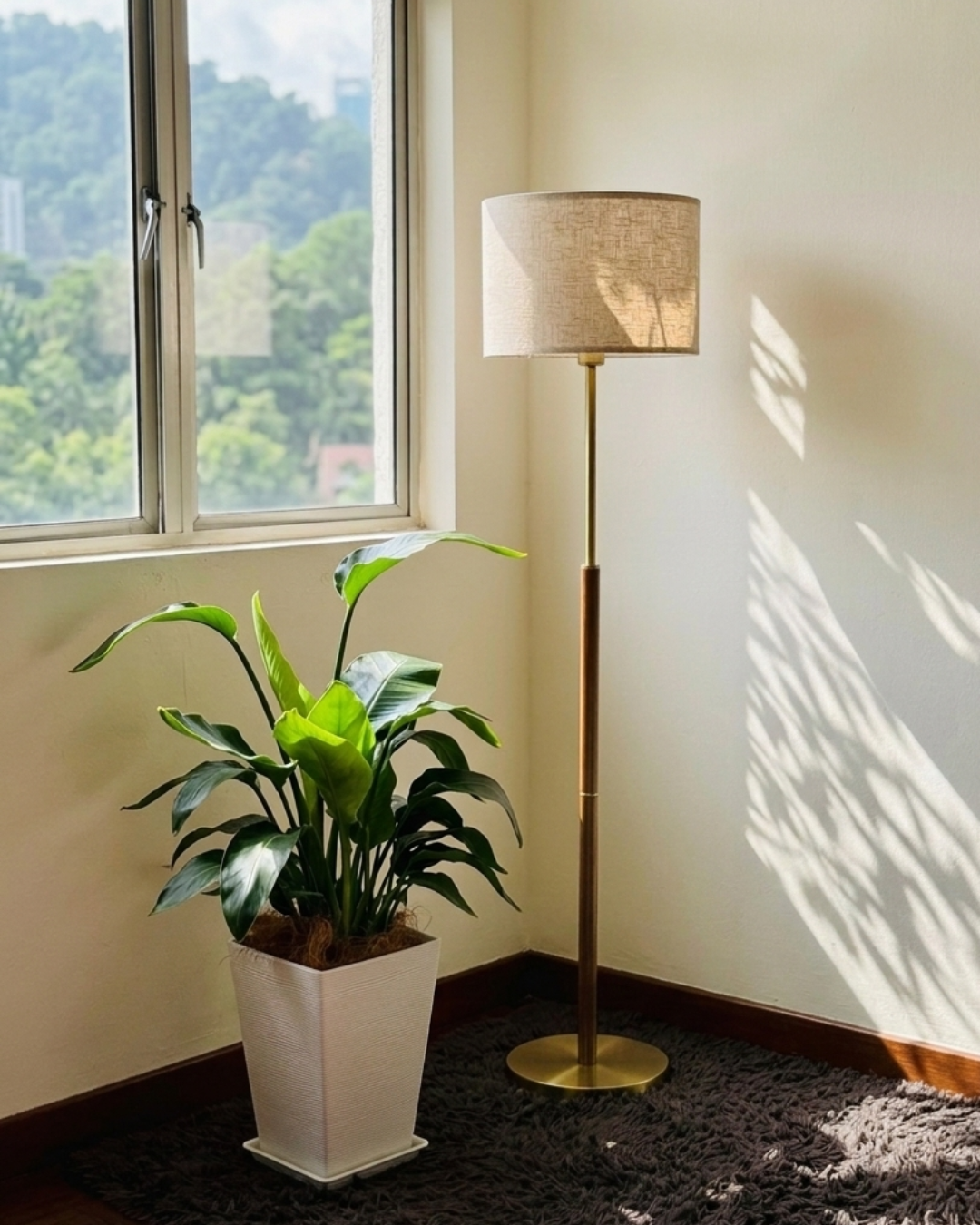 Bird of Paradise in Premium White RIbbed Pot in a living room next to a floor lamp and window.