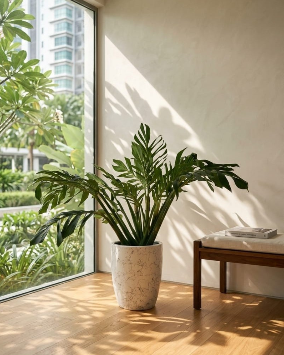 Majetstic curated Monstera Pinnatipartita plant in white marble pot in a chic office place in Bangsar