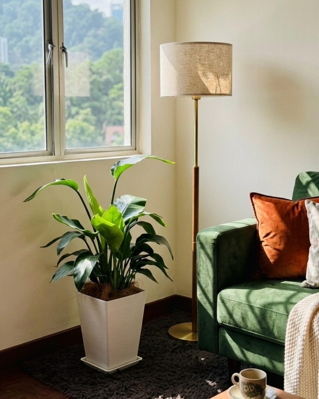 Bird of Paradise in Premium White RIbbed Pot in a living room with a green couch and floor lamp.