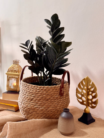 Raven ZZ plant with glossy black foliage styled in a natural woven seagrass basket with leather handles. A low-light indoor plant for luxury home decor in Malaysia.
